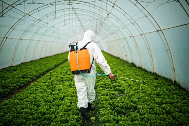 Best Pest Control Near Me  in Dumas, TX