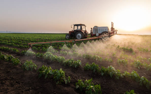 Trusted Dumas, TX Pest Control Experts
