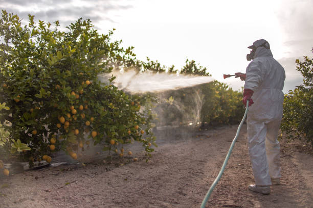 Best Exterminator Services  in Dumas, TX