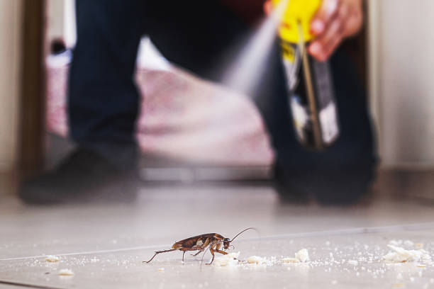 Best Bed Bug Extermination  in Dumas, TX