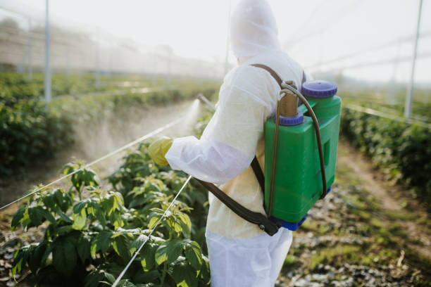 Best Commercial Pest Control Services  in Dumas, TX